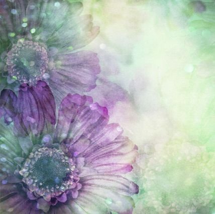 davis5010's profile picture. I'm a Libra♎,I love all animals,love to laugh,love nature,obsessed with pictures,love music! I live on love!