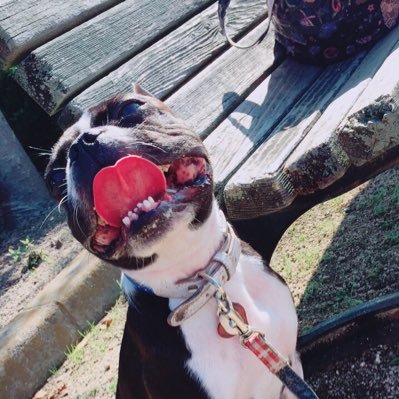 真面目な話が長続きしない仕事と家族大好きマン。 FromSoftware愛に溢れています。MHW．COD．Fortnite.モンスト コミュ障なので知ってる人にしか反応できませんすみません。嫁とR6Sをたまにしています。Fortniteがメイン だった