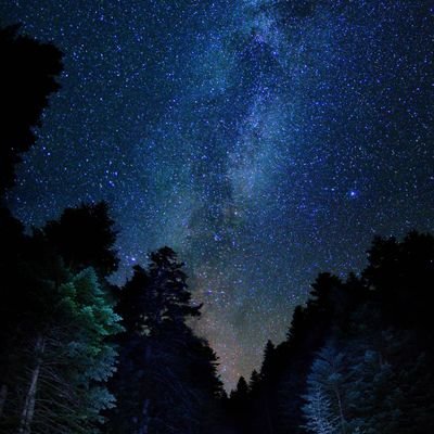 yStuns_'s profile picture. Just like a cup of noodles, I'm hot, steamy, quick and easy 🥴