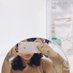 あいこ (@_saranko___) Twitter profile photo あいこ (@_saranko___) Twitter profile photo
