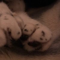 vb(みど) (@vb) 's Twitter Profile