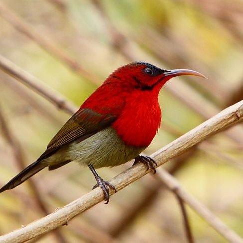 AlaminI40275009's profile picture. Student