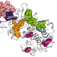 3DBIONOTES (@3dbionotes) 's Twitter Profile