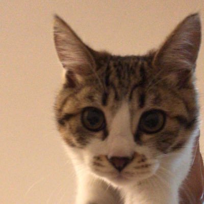 wzx_pw's profile picture. 无