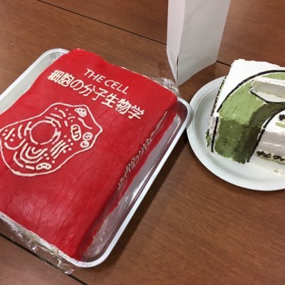 aGt7zucjEUTY2sh's profile picture. 柔術青帯