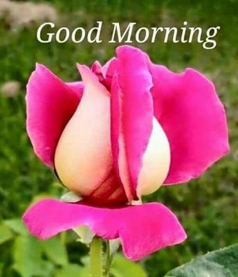 AbhaySi12571764's profile picture. RAJPUTANA BROTHER BHARAT