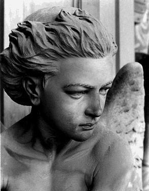 Rajputra Profile