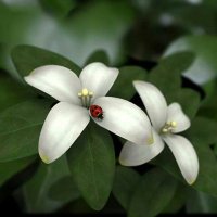 yasemin akt (@yasemin_akt) Twitter profile photo