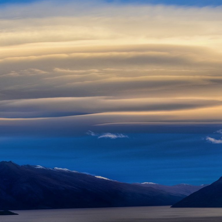 catsurow1's profile picture. 