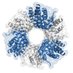HornungLab (@hornung_lab) Twitter profile photo HornungLab (@hornung_lab) Twitter profile photo