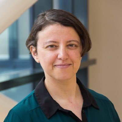 Computational Linguist & Lecturer at University of Malta, Dept. of Artificial Intelligence