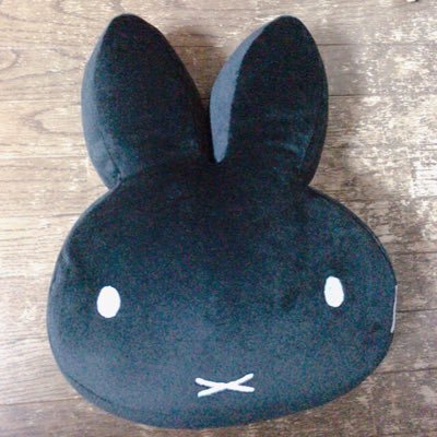 quiz_koutihouin's profile picture. UQS第26代会長/スリッパ会会長/電通大クイ研/玉Q(未入会)/71期長屋(?)/即身仏会/最近 横横QF/まともな戦績 n校5th5位 SQA準優勝 AQL埼玉2位&全国3位 ぱなそにSF/next→栄東招待試合