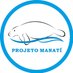 Projeto Manatí (@projetomanati) Twitter profile photo Projeto Manatí (@projetomanati) Twitter profile photo