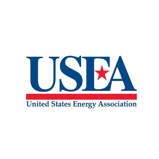 U.S. Energy Association Profile