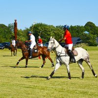 Polo Hamptons (@polohamptons) 's Twitter Profile