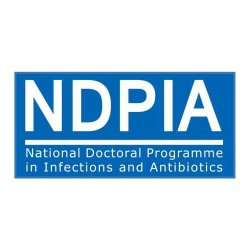 NDPIA provides courses/workshops, networking opportunities and travel support for PhD students/postdocs in infections and antibiotics at Swedish universities.