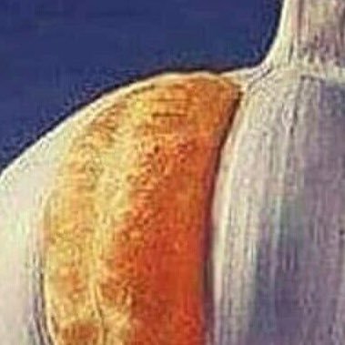 fast following back 
takib Geri takip 
takibedeni takibederim