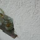 jungae kim - @biogurt - Twitter