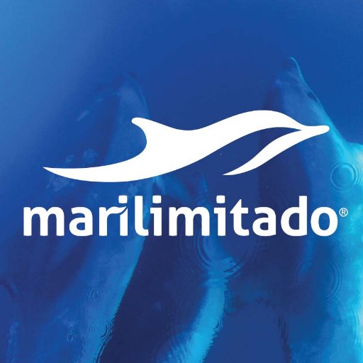 Dolphin Watching & Marine Research 
| Observação de Golfinhos & Investigação Marinha
⚓ Porto da Baleeira, Sagres, Algarve 🇵🇹

Focused on keeping it blue! 🐬🌊