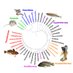 Sanger Institute Vertebrate Genomes Project (@SangerVGP) Twitter profile photo