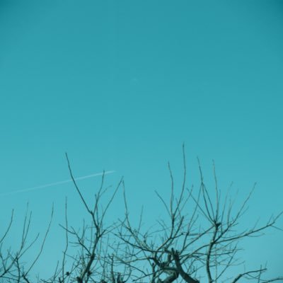 nii70away's profile picture. 