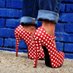 StilettosComplementos (@stilettos66) Twitter profile photo StilettosComplementos (@stilettos66) Twitter profile photo