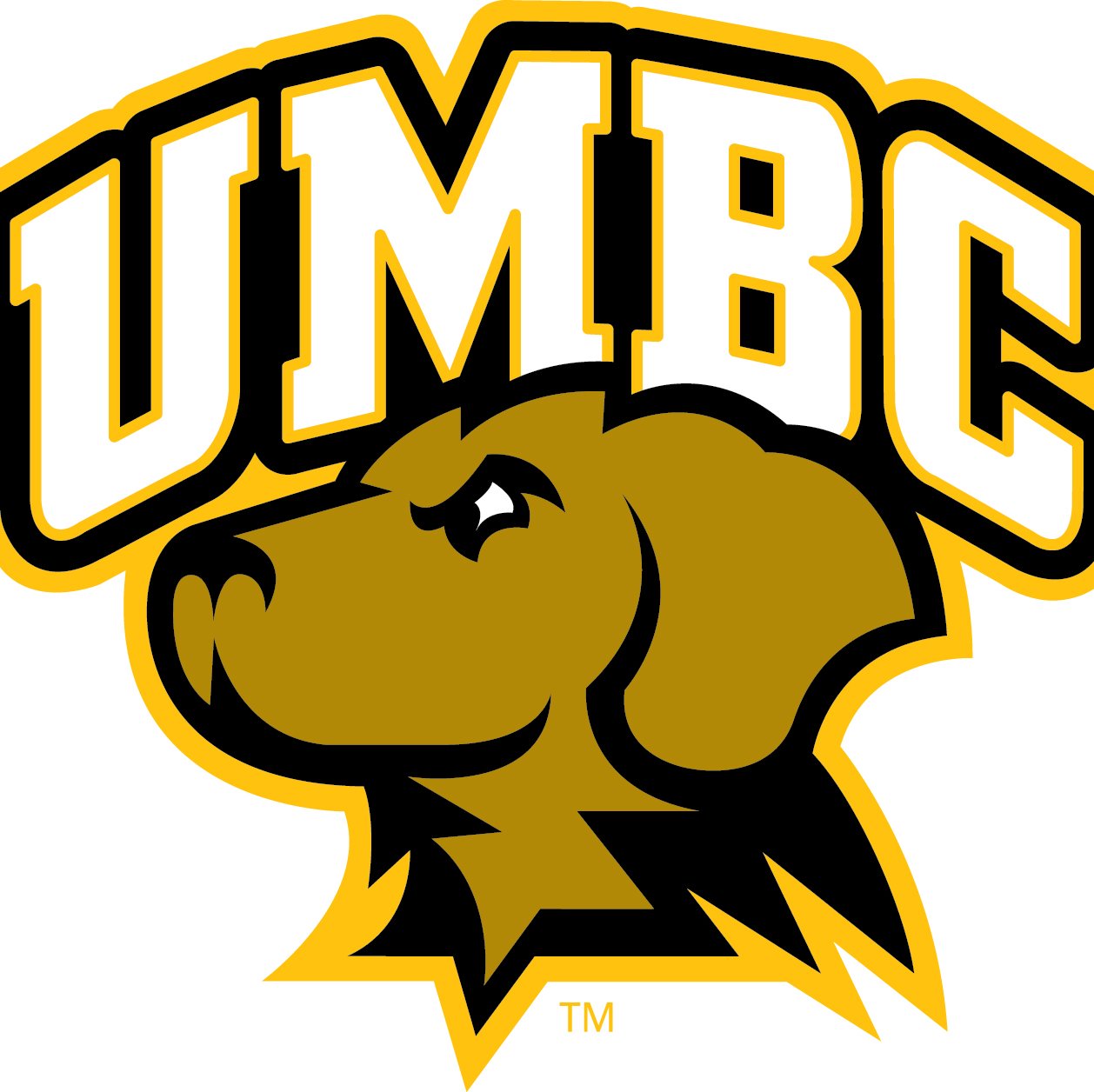 UMBC_WLacrosse Profile Picture