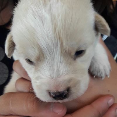 ayeleneisabel's profile picture. 