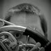 Martin Grainger (@martingrainger6) Twitter profile photo Martin Grainger (@martingrainger6) Twitter profile photo