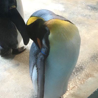 DrVolga4giveme's profile picture. 保 険 を 売 る 元サイ