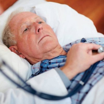 Robertbold4's profile picture. 