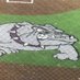 Harrisburg Baseball (@hbg_baseball) Twitter profile photo Harrisburg Baseball (@hbg_baseball) Twitter profile photo