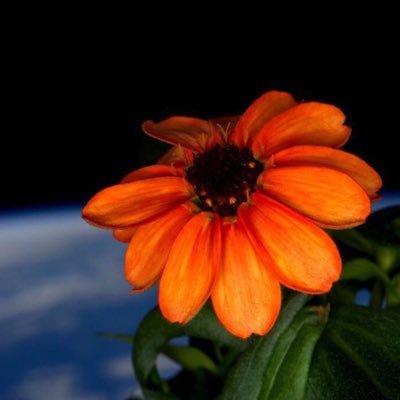 AwhisperWang's profile picture. 科技 電影 遊戲