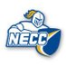 Northern Essex CC Baseball (@NEKnightsBase) Twitter profile photo