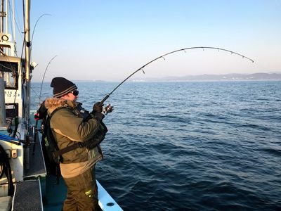 DPDa5u7qhlkz0Ra's profile picture. 安曇野から新潟へショアジギングを主に行きます。釣果情報など呟いていきます。