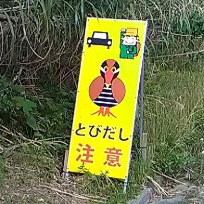 会社員♂(168/64/33)です。アウトドア・自転車が好きです。KENNさんと宮野真守さん推し。音楽は、LiSA,宮野真守,ツキウタをよく聞きます。
LiSAや宮野真守さんのLIVEによく参戦してます。よろしくお願いします。