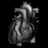 jimcavoli's profile image