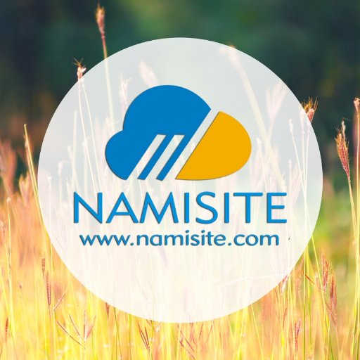 Namisite INC provides you best services offered: network management service, application management support, network infrastructure services, network management