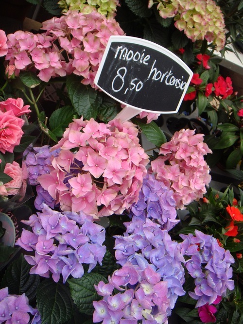 Seungheechung's profile picture. 