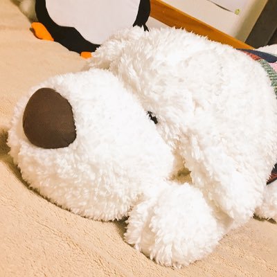 Coroさんのプロフィール画像