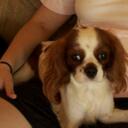 Connie Miles - @1stmlsfromhome - Twitter