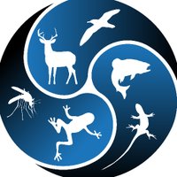 Animal Demography and Ecology Unit (@geda_imedea) 's Twitter Profile