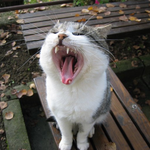 zlatkobratkovic's profile picture. 