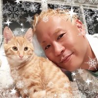 たまさん (@tamamuruhya) 's Twitter Profile Photo