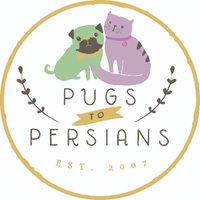 Pugs2Persians(@Pugs2Persians) 's Twitter Profile Photo