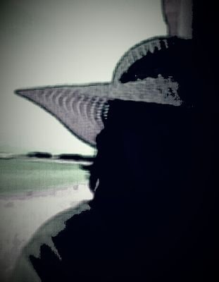 PingEdi's profile picture. 