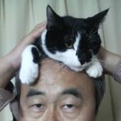 猫充で沖縄好き。美術館ツアー開催中。趣味の海外旅行はお休み中。 人に優しく自分には更に優しく！根拠の無い自信は最強！結婚相談所ベストパートナーマリッジで、カードセッション担当。https://t.co/x2PU5cgPO8