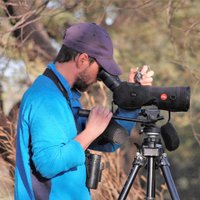 Thomas MondainMonval (@tmondain) 's Twitter Profile