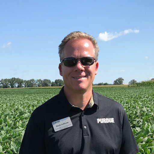 Mark Sullivan, MBRM Profile