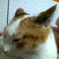 muumuuさんのプロフィール画像
